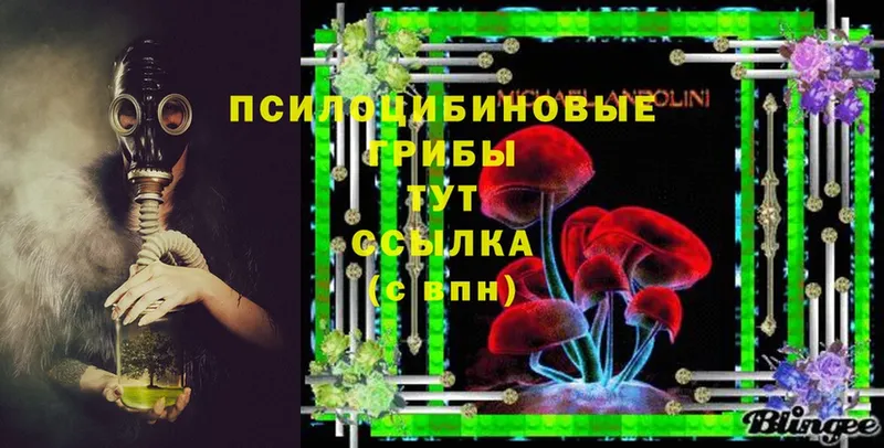 Галлюциногенные грибы Psilocybe  закладки  Бодайбо 